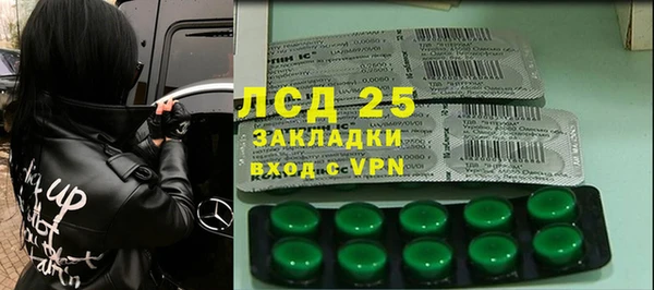 ГАЛЛЮЦИНОГЕННЫЕ ГРИБЫ Алзамай