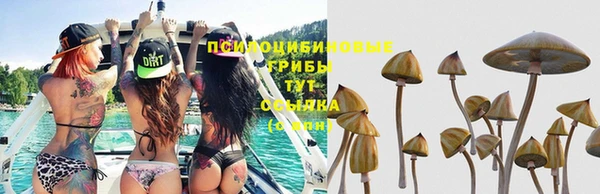 трава Алексеевка