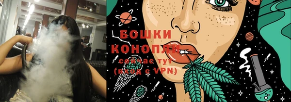 ГАЛЛЮЦИНОГЕННЫЕ ГРИБЫ Алзамай